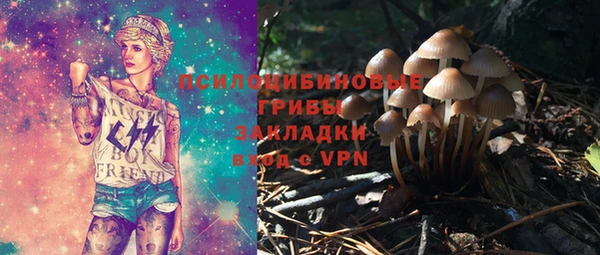 не бодяженный Белокуриха