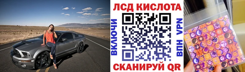 kraken   Чегем  Наркотические марки 1500мкг 