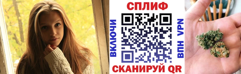 hydra ONION  цены наркотик  Чегем  Каннабис AK-47 
